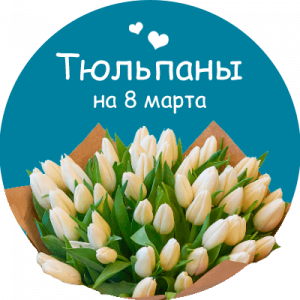 Купить тюльпаны во Владимире